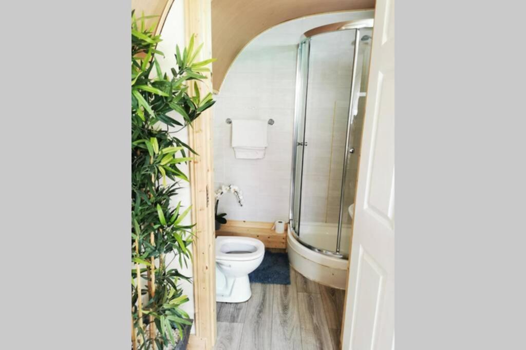 بورتلاويس Lazy Lodge Glamping Pod With Hot Tub المظهر الخارجي الصورة