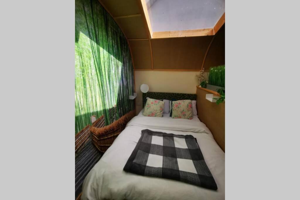 بورتلاويس Lazy Lodge Glamping Pod With Hot Tub المظهر الخارجي الصورة